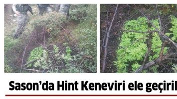 SASON&rsquo;DA HİNT KENEVİRİ ELE GE&Ccedil;İRİLDİ