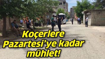 KO&Ccedil;ERLERE PAZARTESİ&rsquo;YE KADAR M&Uuml;HLET!