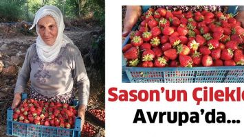 SASON&rsquo;UN &Ccedil;İLEKLERİ AVRUPA&rsquo;DA&hellip;