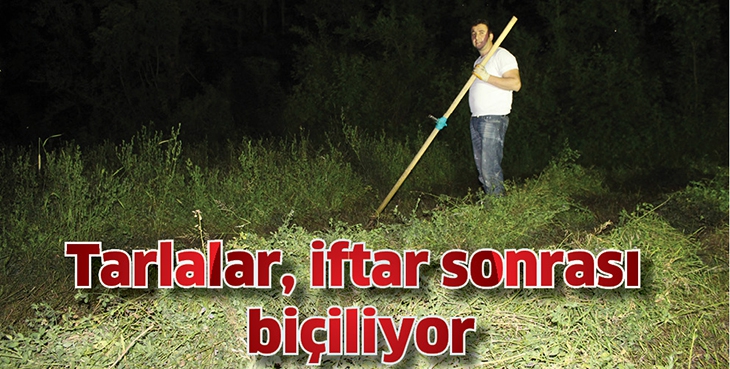 TARLALAR, İFTAR SONRASI Bİ&Ccedil;İLİYOR