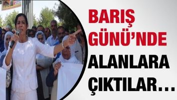 BARIŞ G&Uuml;N&Uuml;&rsquo;NDE ALANLARA &Ccedil;IKTILAR&hellip;
