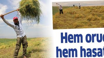 HEM ORU&Ccedil; HEM HASAT..