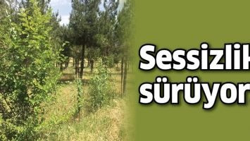 SESSİZLİK S&Uuml;R&Uuml;YOR&hellip;