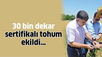 30 BİN DEKAR SERTİFİKALI TOHUM EKİLDİ&hellip;