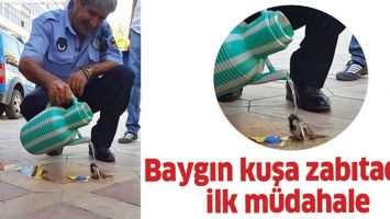 BAYGIN KUŞA ZABITADAN İLK M&Uuml;DAHALE