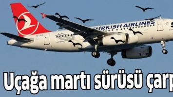 U&Ccedil;AĞA MARTI S&Uuml;R&Uuml;S&Uuml; &Ccedil;ARPTI