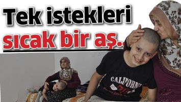 TEK İSTEKLERİ SICAK BİR AŞ&hellip;