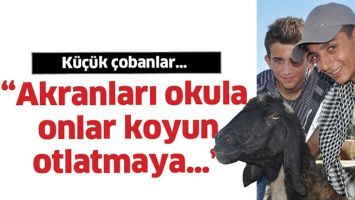 K&Uuml;&Ccedil;&Uuml;K &Ccedil;OBANLAR&hellip;