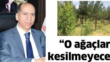 &ldquo;O AĞA&Ccedil;LAR KESİLMEYECEK&rdquo;