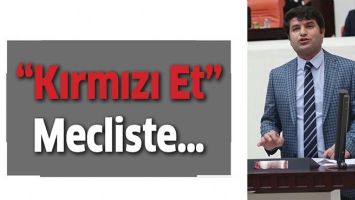 &ldquo;KIRMIZI ET&rdquo; MECLİSTE&hellip;