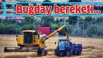 BUĞDAY BEREKETİ&hellip;