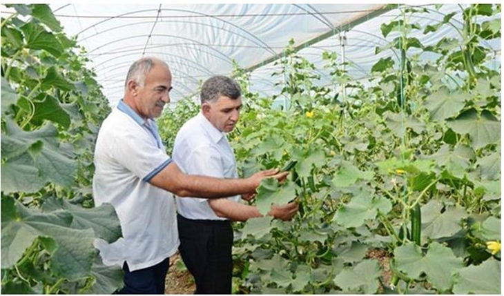 SERALARDA İNCELEME&hellip;