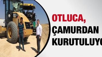 OTLUCA, &Ccedil;AMURDAN KURUTULUYOR