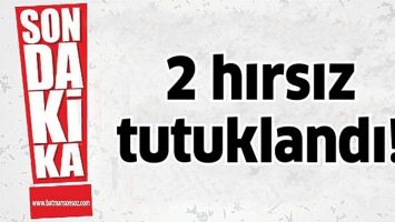 2 HIRSIZ TUTUKLANDI!
