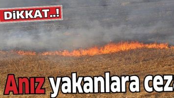 ANIZ YAKANLARA CEZA