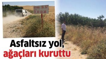 ASFALTSIZ YOL, AĞA&Ccedil;LARI KURUTTU