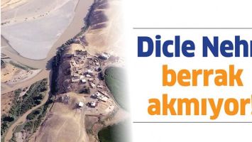 DİCLE NEHRİ BERRAK AKMIYOR!
