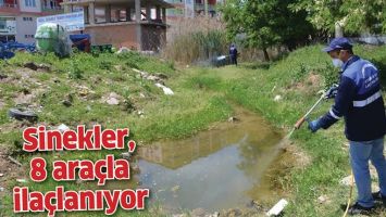 SİNEKLER, 8 ARA&Ccedil;LA İLA&Ccedil;LANIYOR