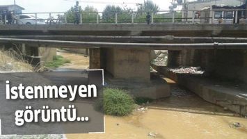 İSTENMEYEN G&Ouml;R&Uuml;NT&Uuml;&hellip;