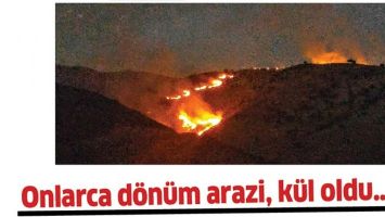 ONLARCA D&Ouml;N&Uuml;M ARAZİ, K&Uuml;L OLDU&hellip;