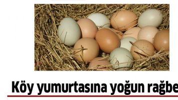 K&Ouml;Y YUMURTASINA YOĞUN RAĞBET&hellip;