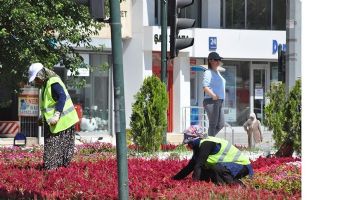 &Ccedil;İ&Ccedil;EKLER, KADINLARIN ELİNDE TOPRAKLA BULUŞUYOR