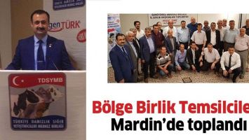 B&Ouml;LGE BİRLİK TEMSİLCİLERİ, MARDİN&rsquo;DE TOPLANDI
