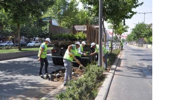YAYA GE&Ccedil;İDİNE &Ccedil;ALI EKİMİ
