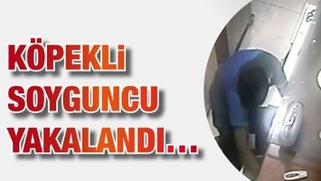K&Ouml;PEKLİ SOYGUNCU YAKALANDI&hellip;