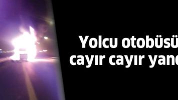 YOLCU OTOB&Uuml;S&Uuml; CAYIR CAYIR YANDI