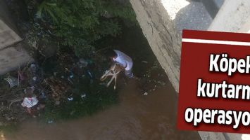 K&Ouml;PEK KURTARMA OPERASYONU!