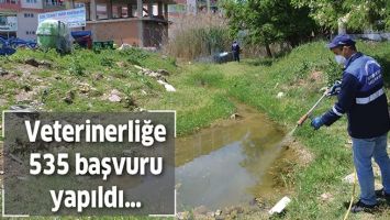 VETERİNERLİĞE 535 BAŞVURU YAPILDI&hellip;