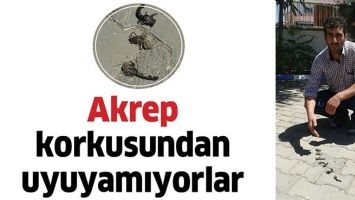 AKREP KORKUSUNDAN UYUYAMIYORLAR