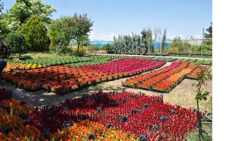 PARK BAH&Ccedil;E, İŞBAŞINDA&hellip;