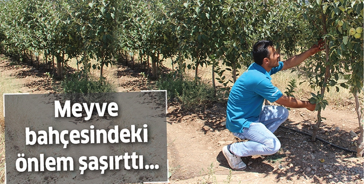 MEYVE BAH&Ccedil;ESİNDEKİ &Ouml;NLEM ŞAŞIRTTI