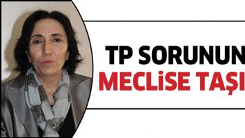 TP SORUNUNU MECLİSE TAŞIDI