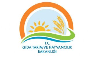 &Ouml;NCE EĞİTİM, SONRA PANEL&hellip;