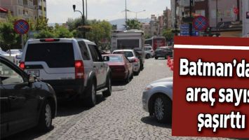 BATMAN&rsquo;DAKİ ARA&Ccedil; SAYISI ŞAŞIRTTI