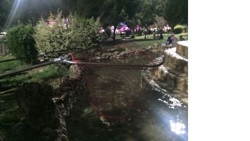KURBAĞA TOPLADILAR&hellip;