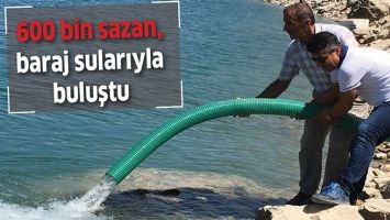 600 BİN SAZAN, BARAJ SULARIYLA BULUŞTU
