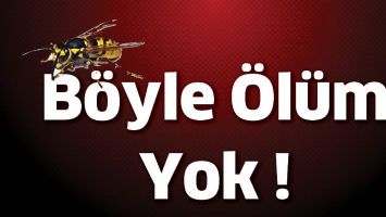 B&Ouml;YLE &Ouml;L&Uuml;M YOK!