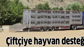 &Ccedil;İFT&Ccedil;İYE HAYVAN DESTEĞİ&hellip;
