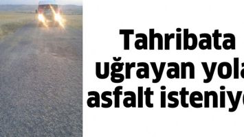 TAHRİBATA UĞRAYAN YOLA, ASFALT İSTENİYOR