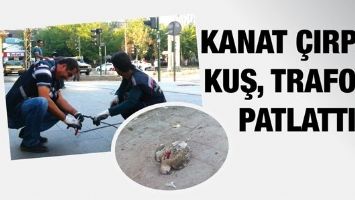 KANAT &Ccedil;IRPAN KUŞ, TRAFOYU PATLATTI