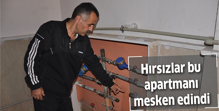 HIRSIZLAR BU APARTMANI MESKEN EDİNDİ