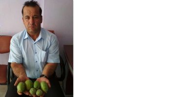ARMUT B&Uuml;Y&Uuml;KL&Uuml;Ğ&Uuml;NDE CEVİZ&hellip;