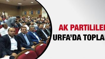 AK PARTİLİLER URFA&rsquo;DA TOPLANDI