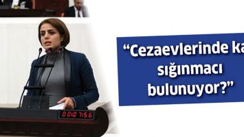 &ldquo;CEZAEVLERİNDE KA&Ccedil; SIĞINMACI BULUNUYOR?&rdquo;