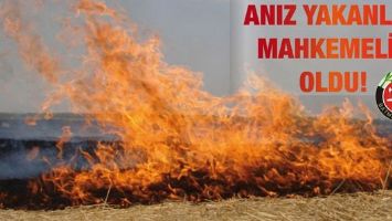 ANIZ YAKANLAR MAHKEMELİK OLDU!