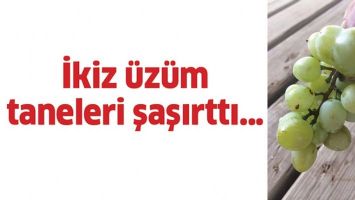 İKİZ &Uuml;Z&Uuml;M TANELERİ ŞAŞIRTTI&hellip;